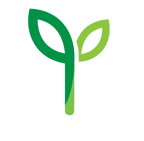 Sprout Media